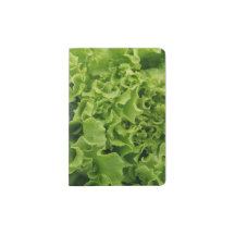 Fresh Food Lettuce and Broccoli