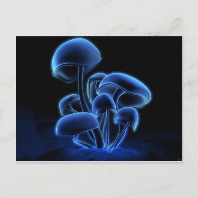 Fresh, Funky, Fashionable, Retro, Cool Postcard (Front)