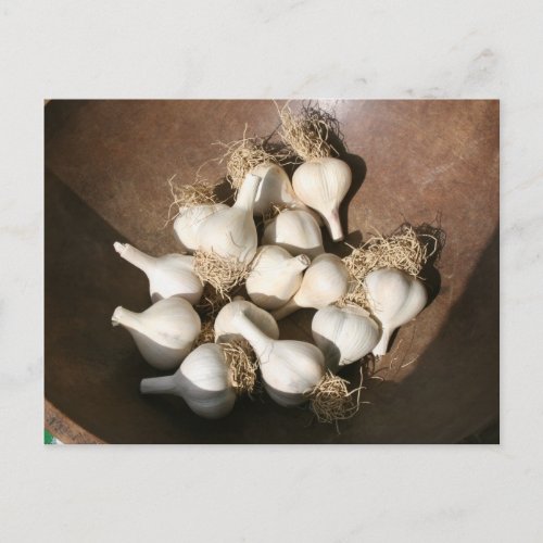 Fresh Garlic at Shaker Square Farmers Market Postcard