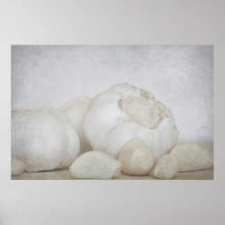 Fresh Garlic Poster