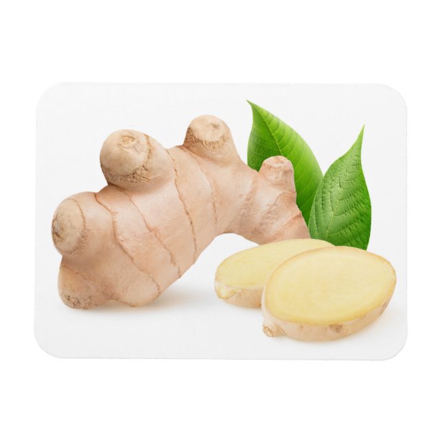 Fresh ginger magnet (Horizontal)