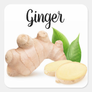 Fresh ginger square sticker