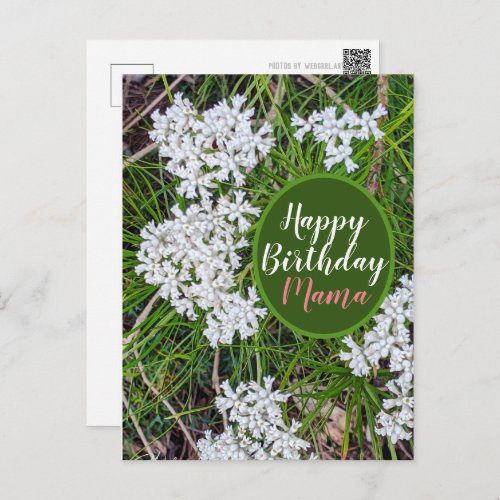 Fresh Green and White flowers Happy Birthday Mama Postcard