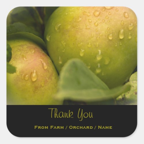 Fresh Green Apples with a Misty Border Thank You Square Sticker