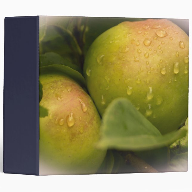 Fresh Green Apples with Water Droplets Binder (Front/Spine)