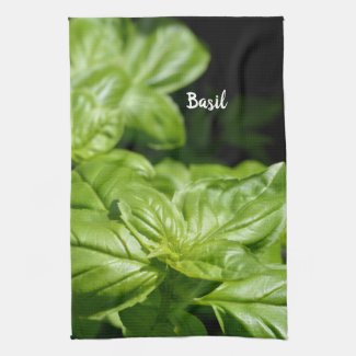 Fresh Green Basil Leaves Black and Green