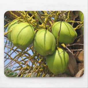 Fresh Green Coconuts Mouse Pad