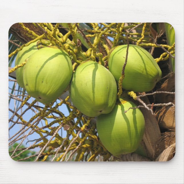 Fresh Green Coconuts Mouse Pad (Front)