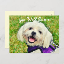 Fresh Green Dog and Encouragement Get Well  Postcard