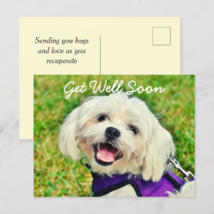 Fresh Green Dog and Encouragement Get Well Postcard
