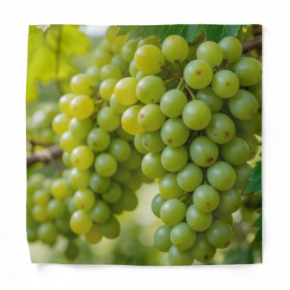 fresh green grapes bandana