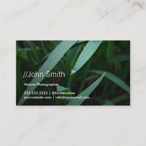 Fresh Green Leaves Photographer Business Card