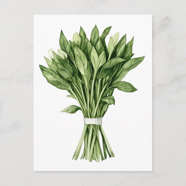 Fresh Greenery Watercolor Wedding Bouquet Postcard (Front)