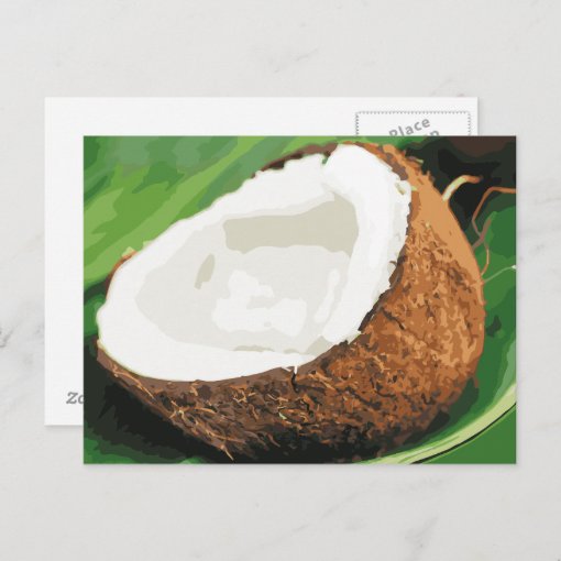 Fresh Hawaiian Coconuts Postcard Zazzle