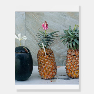fresh healthy pineapple foam board