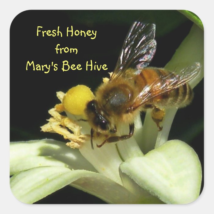 Fresh Honey Bee Hive Square Labels Square Sticker