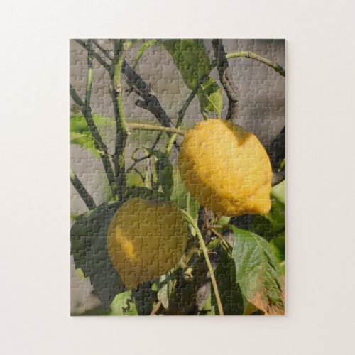 Fresh Lemons on a Tree Jigsaw Puzzle