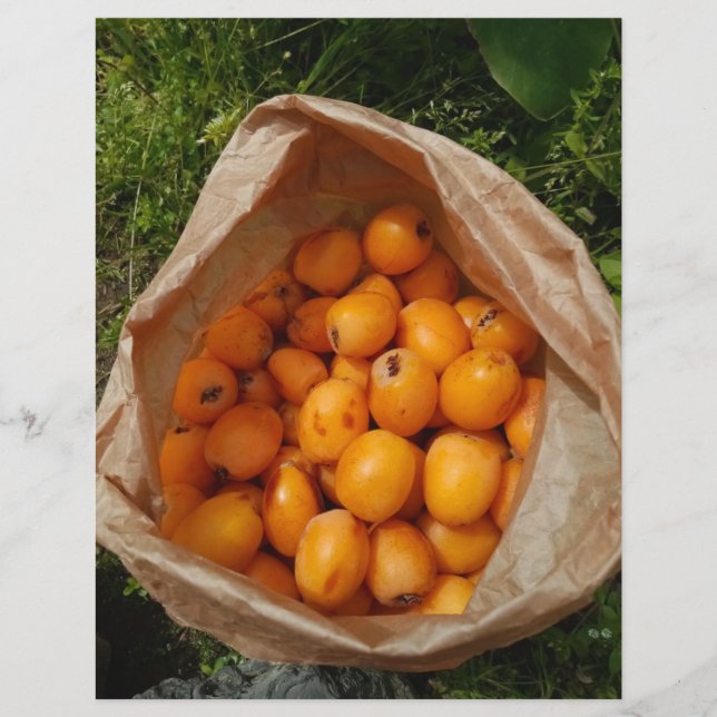 Fresh loquats flyer (Front)