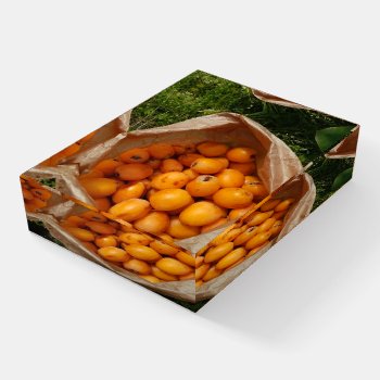 Fresh Loquats Paperweight by gavila_pt at Zazzle