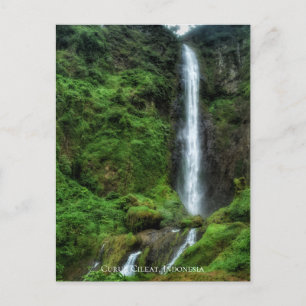 Fresh Lush Green Natural Waterfall Postcard