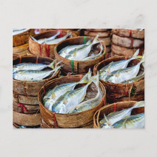 Fresh Mackerel Postcard