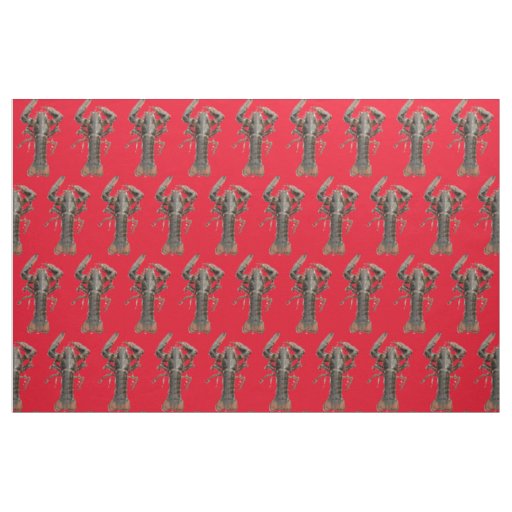 Fresh Maine Lobster Thunder_Cove  Fabric