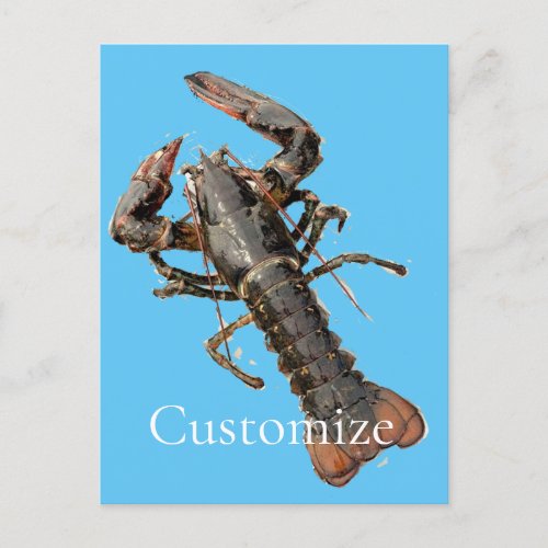 Fresh Maine Lobster Thunder_Cove Postcard