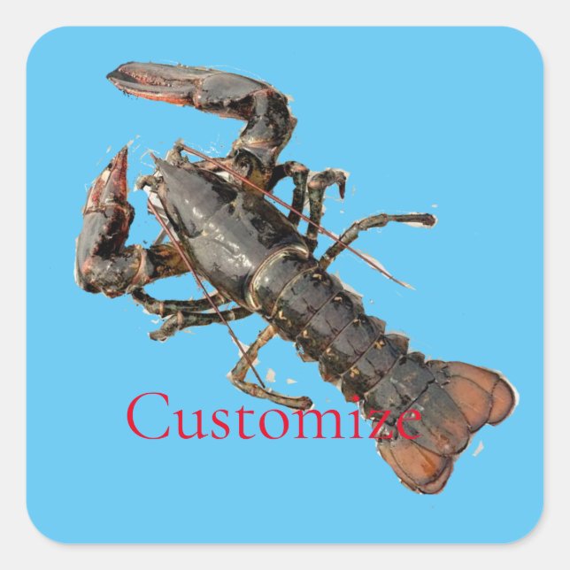 Fresh Maine Lobster Thunder_Cove Square Sticker (Front)