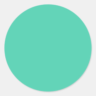 FRESH MINT FLAVOR customizable to other SHAPES Classic Round Sticker