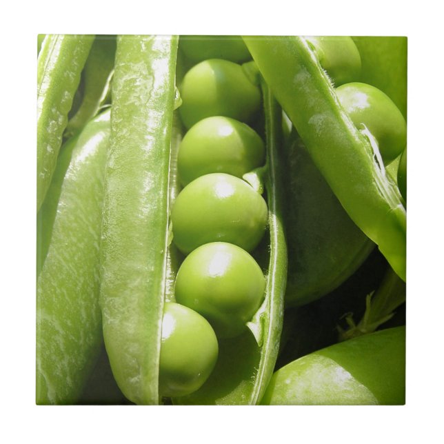 Fresh open green pea pods in sunlight tile (Front)