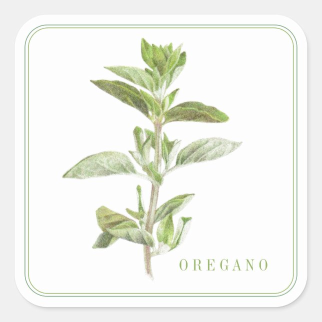 FRESH OREGANO Large Square Stickers (Front)