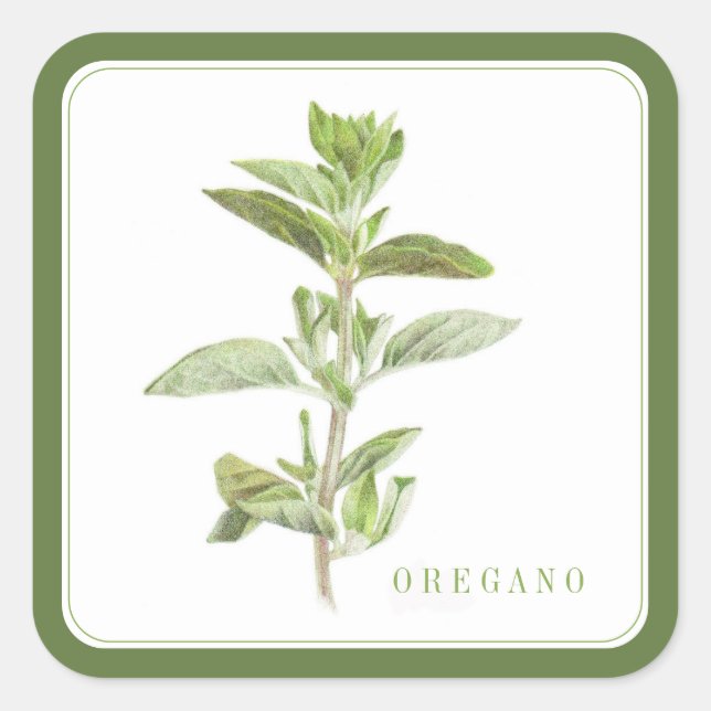 FRESH OREGANO Large Square Stickers (+text) Green (Front)