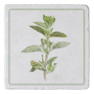 FRESH OREGANO Marble Stone Trivet (-text)