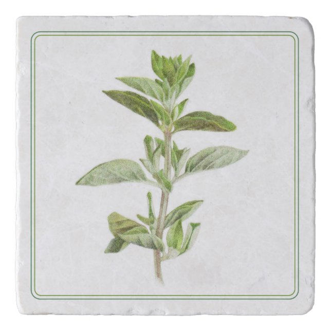 FRESH OREGANO Marble Stone Trivet (-text) (Front)