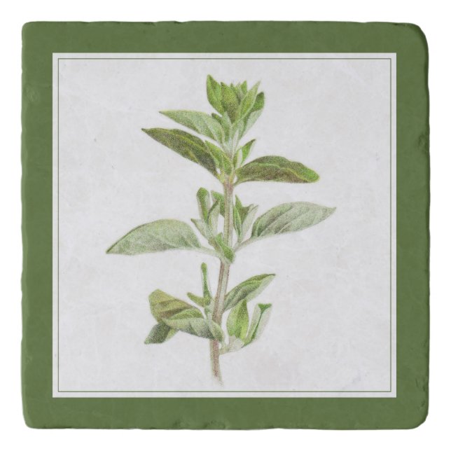 FRESH OREGANO Marble Stone Trivet (-text) Green (Front)