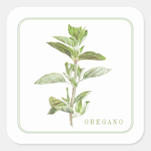 FRESH OREGANO Small Square Stickers