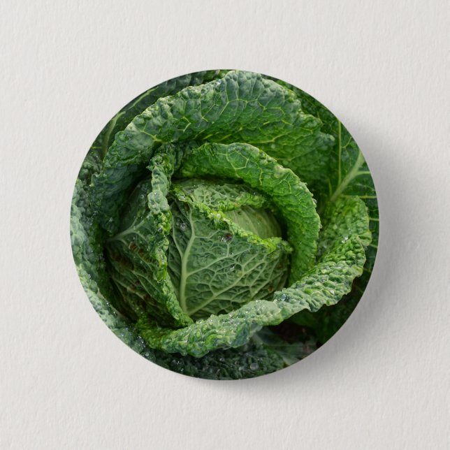Fresh Organic Cabbage Head Button (Front)