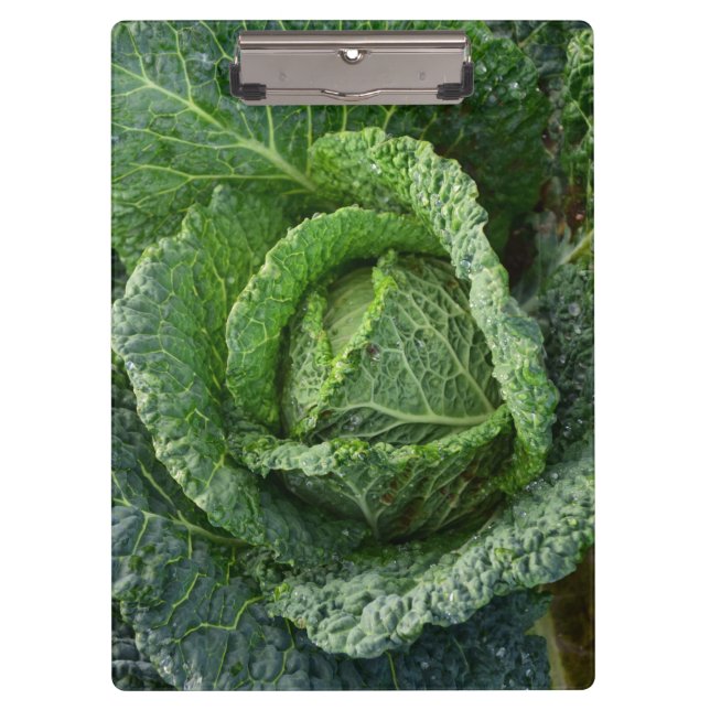 Fresh Organic Cabbage Head Clipboard (Front)