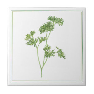 FRESH PARSLEY 4.25x4.25 Ceramic Tile (-text)