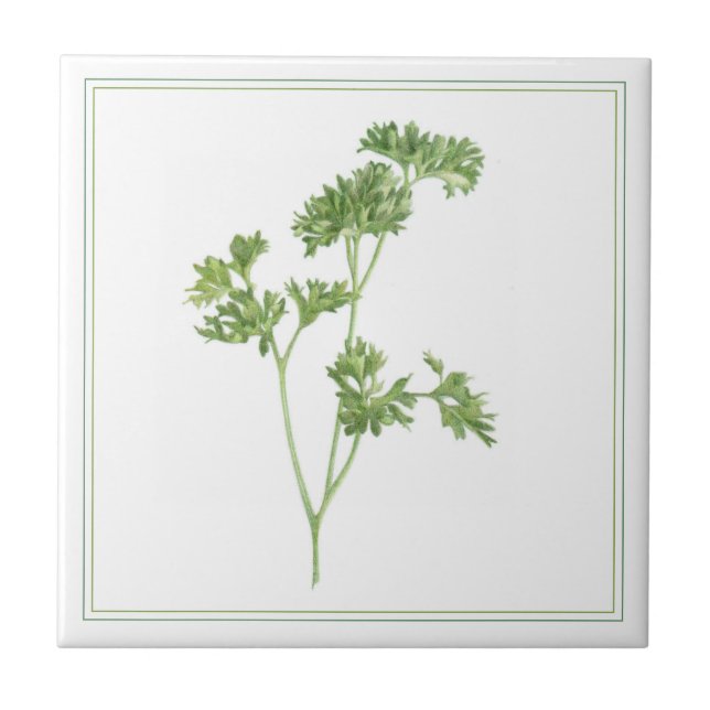 FRESH PARSLEY 4.25x4.25 Ceramic Tile (-text) (Front)