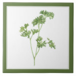 FRESH PARSLEY 6x6 Ceramic Tile (-text) Green