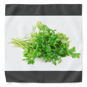 Fresh Parsley Bandana