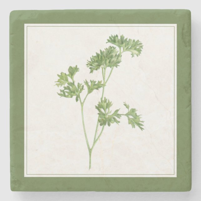 FRESH PARSLEY Marble Stone Coaster (-text) Green (Front)