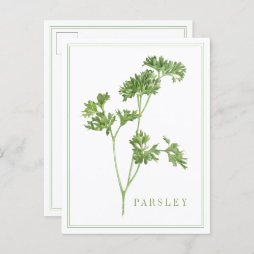 FRESH PARSLEY Postcard