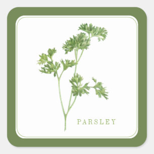 FRESH PARSLEY Small Square Stickers - Green