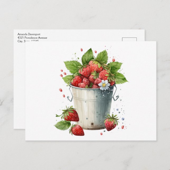 Fresh Picked Strawberries in a Bucket Postcard (Front/Back)