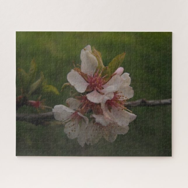 Fresh Pink Cherry Blossoms Spring Floral Photo Jigsaw Puzzle (Horizontal)