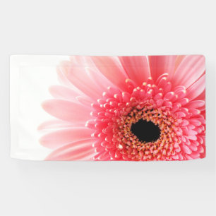 Fresh Pink Gerbera Daisy Photograph Banner