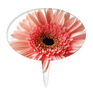 Fresh Pink Gerbera Daisy Photograph Cake Topper