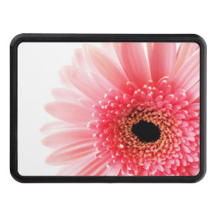 Fresh Pink Gerbera Daisy Photograph Hitch Cover
